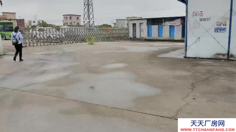 (出租) 广州南沙区东涌万洲村，独院简易9700方仓库打包价出租，滴水8米