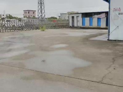 (出租) 广州南沙区东涌万洲村，独院简易9700方仓库打包价出租，滴水8米图1
