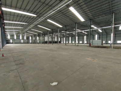 (出租) 广州南沙区东涌万洲村，独院简易9700方仓库打包价出租，滴水8米图3
