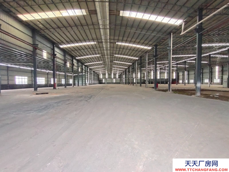 (出租) 广州南沙区东涌万洲村，独院简易9700方仓库打包价出租，滴水8米