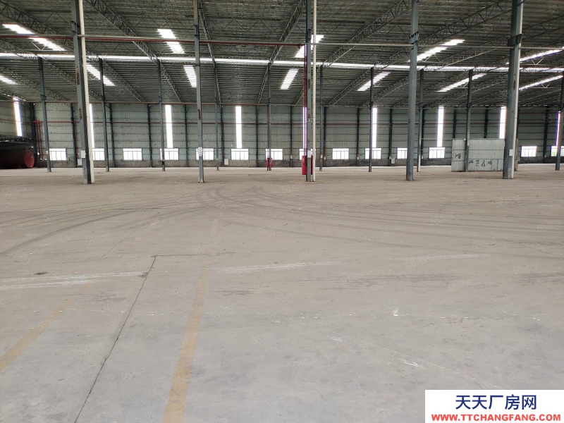 (出租) 广州南沙区东涌万洲村，独院简易9700方仓库打包价出租，滴水8米