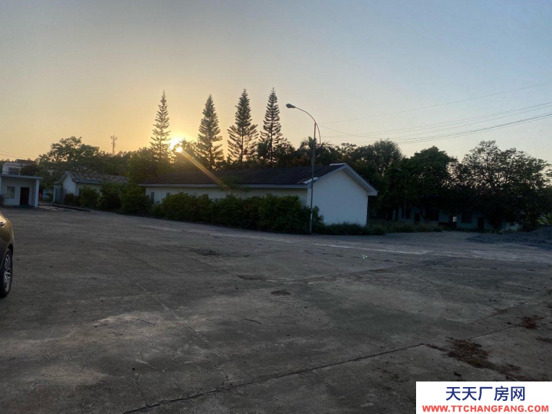 (出租) 南宁市西乡塘区坛洛淀粉厂工业用地出租