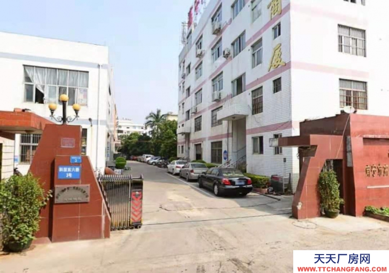 (出租)南宁市西乡塘区科园大道火炬大厦边厂房写字楼办公室