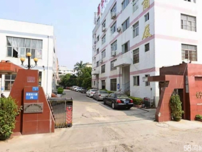 (出租)南宁市西乡塘区科园大道火炬大厦边厂房写字楼办公室图1