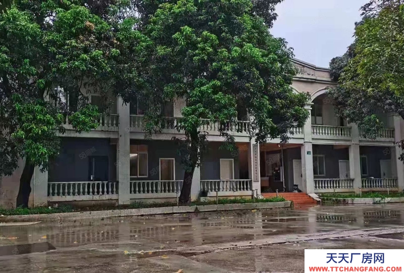 (出租) 广州番禺亚运大道旁砖墙到顶单一层电大园林厂房空地大可办环评中高10米
