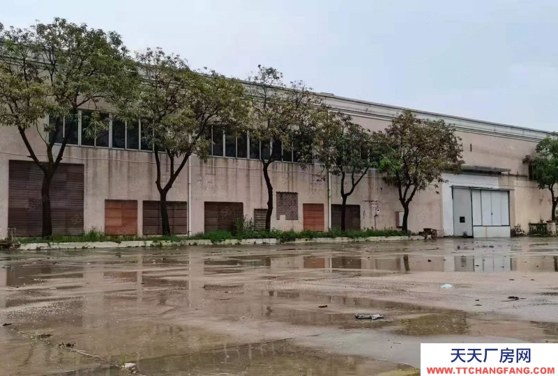 (出租) 广州番禺亚运大道旁砖墙到顶单一层电大园林厂房空地大可办环评中高10米