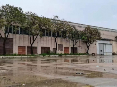 (出租) 广州番禺亚运大道旁砖墙到顶单一层电大园林厂房空地大可办环评中高10米图1