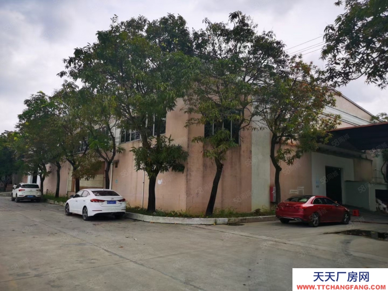 (出租) 广州番禺亚运大道旁砖墙到顶单一层电大园林厂房空地大可办环评中高10米