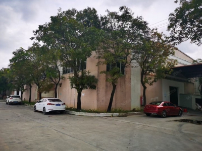 (出租) 广州番禺亚运大道旁砖墙到顶单一层电大园林厂房空地大可办环评中高10米图4