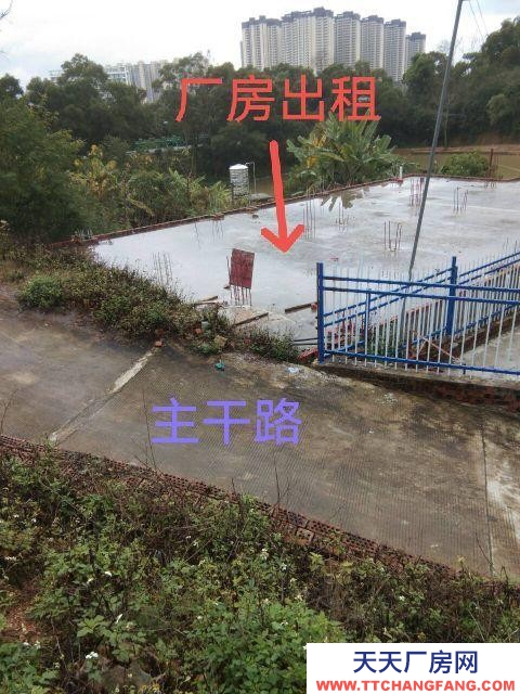(出租)南宁市西乡塘区厂房干净整洁，通风明亮。