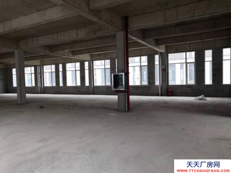 (出租)南宁市西乡塘区独栋花园式标准厂房出租 西乡塘