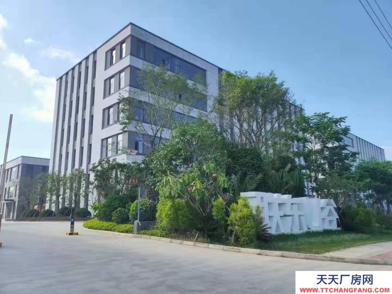 (出租)南宁市西乡塘区独栋花园式标准厂房出租 西乡塘