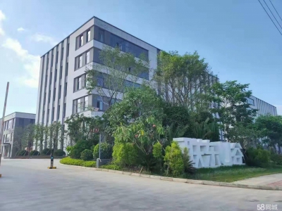 (出租)南宁市西乡塘区独栋花园式标准厂房出租 西乡塘图2