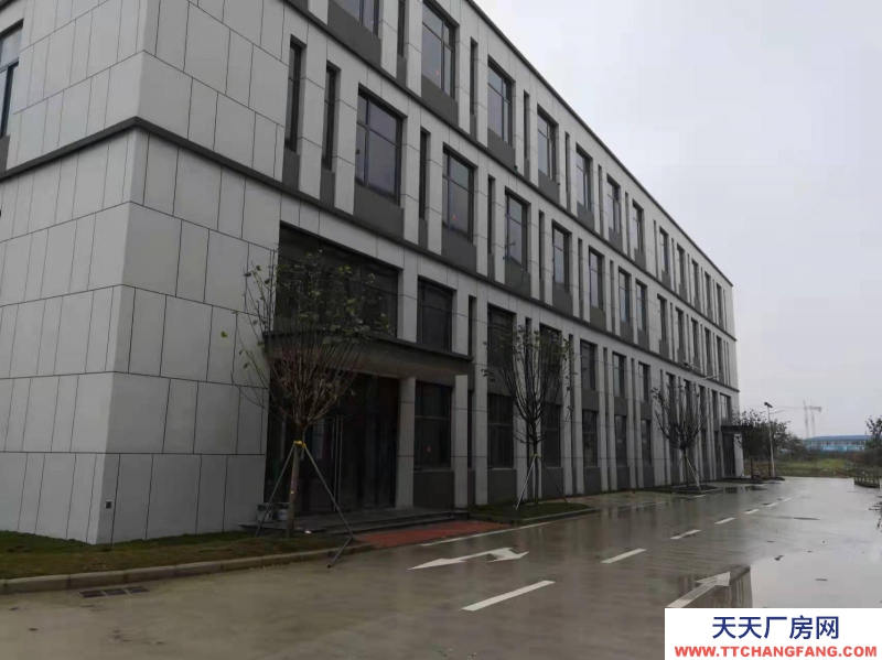 (出租)南宁市西乡塘区独栋花园式标准厂房出租 西乡塘