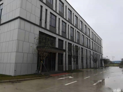 (出租)南宁市西乡塘区独栋花园式标准厂房出租 西乡塘图4
