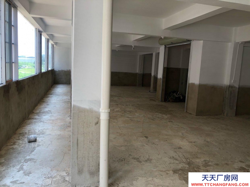 (出租)南宁市西乡塘区厂房仓库空地货场招租