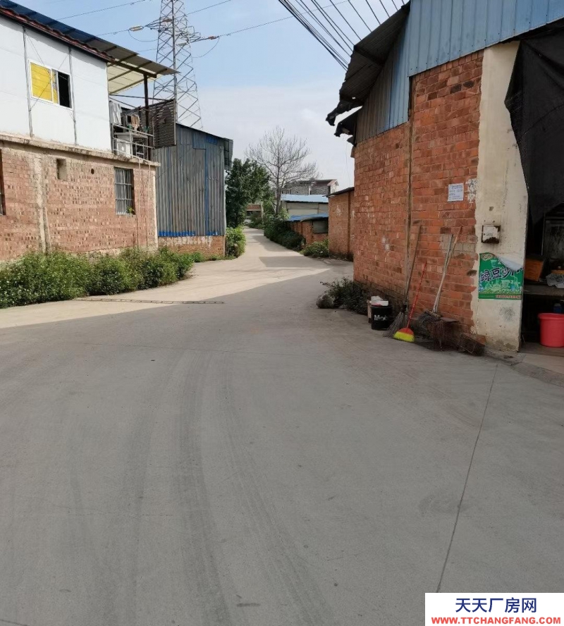 (出租)南宁市西乡塘区交通方便，离南武大道250米