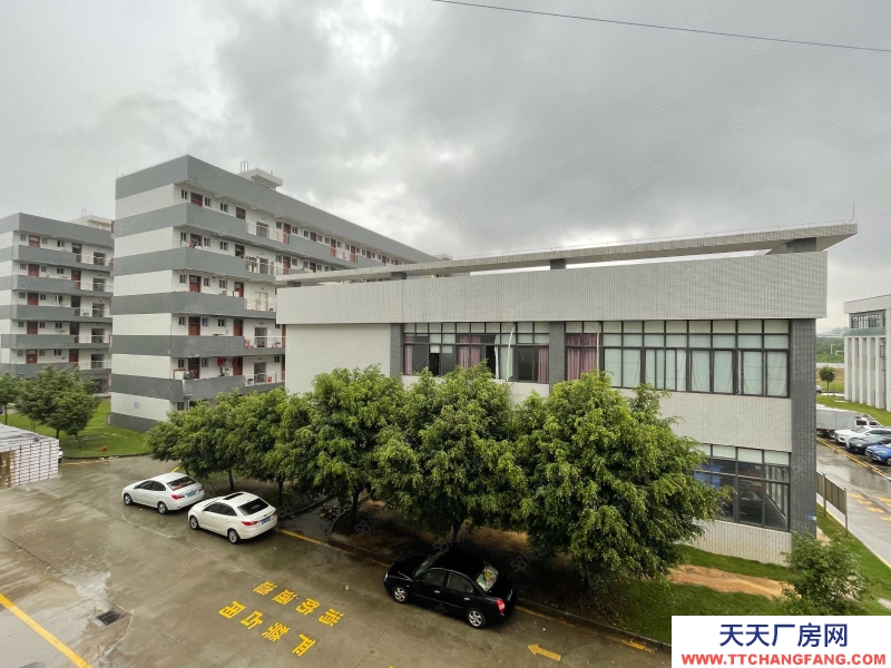 (出租) 东莞塘厦原房东独栋标准厂房8550平 形象高大上！管理规范