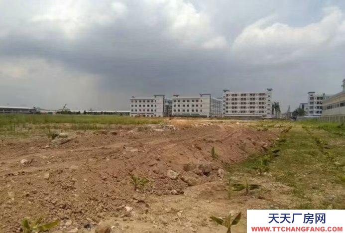 (出租)南宁市西乡塘区拖头随便进，工业用地，可定制，可办环评
