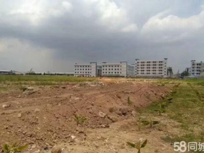 (出租)南宁市西乡塘区拖头随便进，工业用地，可定制，可办环评图1