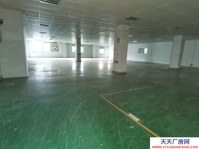 (出租) 东莞独立厂房520平，860平，1700平等各种规格，形象高大上