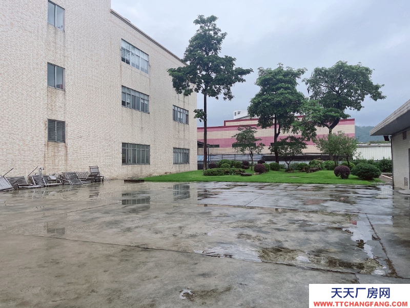 (出租) 东莞虎门怀德新出楼上2150平 原房东独院分租 带装修