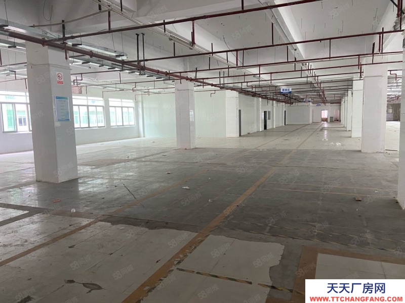 (出租) 东莞凤岗高速出口原房东红本厂房出租500平2000平15000平