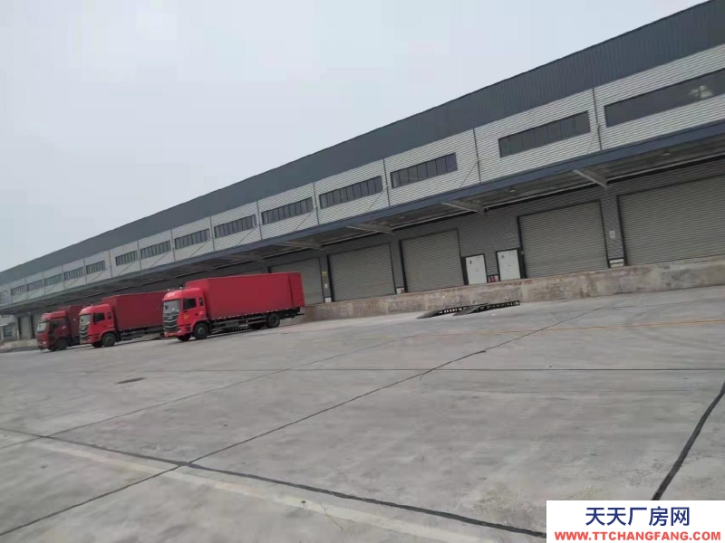 (出租) 阜阳颍州区三塔集镇龙凤大道南侧大型仓库出租
