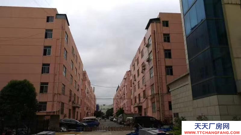 (出租)南宁市江南区经开金凯路13号厂房招租