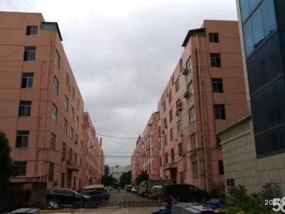 (出租)南宁市江南区经开金凯路13号厂房招租图1
