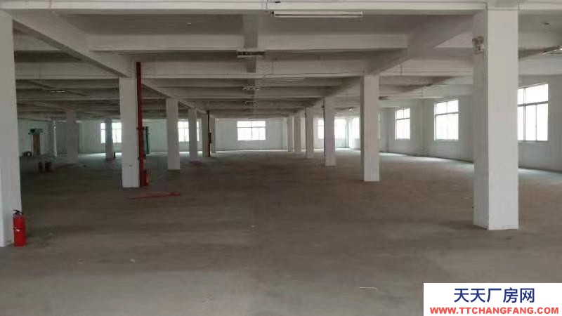 (出租)南宁市江南区经开金凯路13号厂房招租