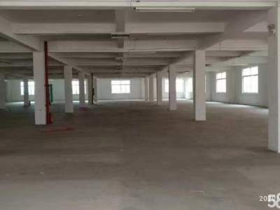 (出租)南宁市江南区经开金凯路13号厂房招租图2