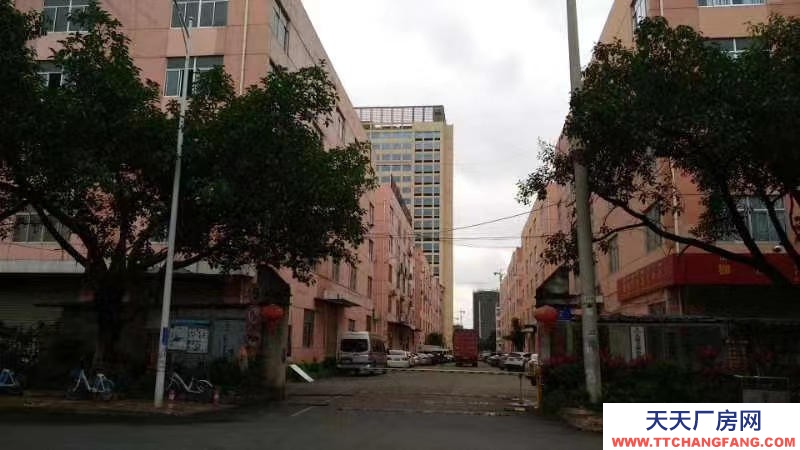 (出租)南宁市江南区经开金凯路13号厂房招租