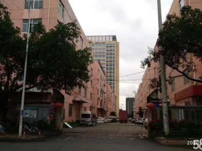 (出租)南宁市江南区经开金凯路13号厂房招租图3