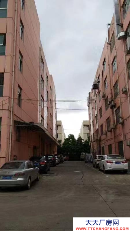 (出租)南宁市江南区经开金凯路13号厂房招租