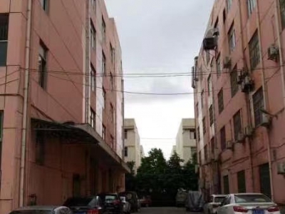 (出租)南宁市江南区经开金凯路13号厂房招租图4