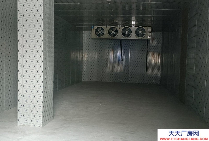 (出租) 阜阳界首交通便利，新建冷库。可随时看场地！可整租可分租！