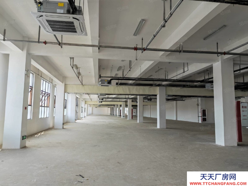 (出租) 淮南田家庵安成铺一楼800平方仓库可办公消防已过三大门层高4.5