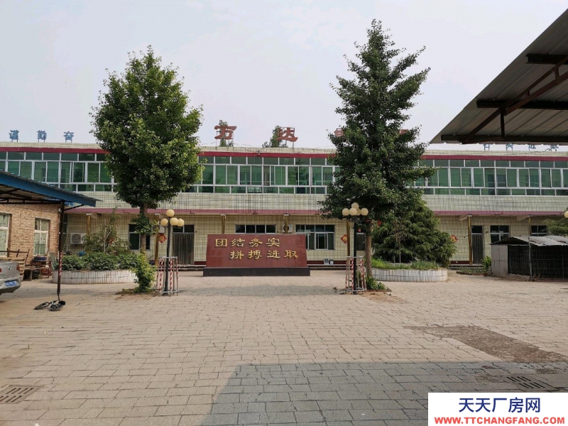 保定 雄县 雄安新区雄县办公楼厂房出租，交通便利，设施齐全。