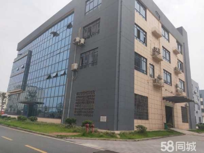 株洲市荷塘区出租荷塘向阳广场金城国投厂房图2