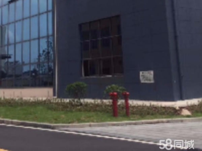 株洲市荷塘区出租荷塘向阳广场金城国投厂房图1