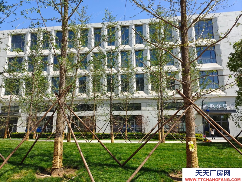 保定 雄县 雄安新区，可生产研发环评独栋厂房，可达北京，天津，新城