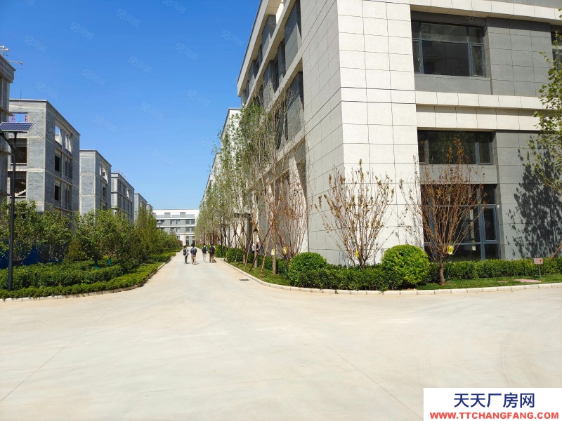 保定 雄县 雄安新区，可生产研发环评独栋厂房，可达北京，天津，新城