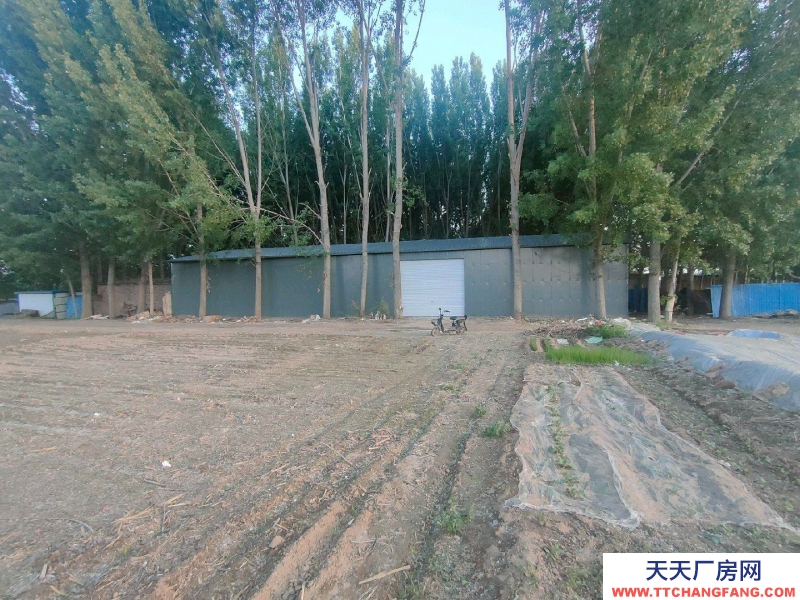 保定 雄县 本房面议面积小面议可以谈