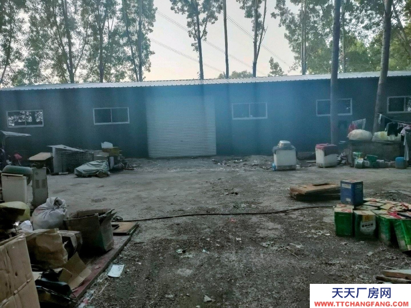 保定 雄县 本房面议面积小面议可以谈