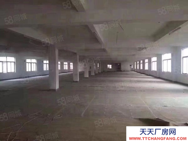 株洲市芦淞区政府 标准厂房直租 100到2300平 价格面议