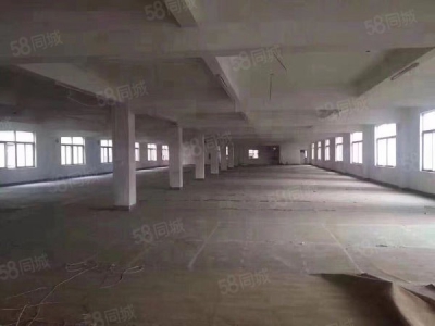 株洲市芦淞区政府 标准厂房直租 100到2300平 价格面议图2