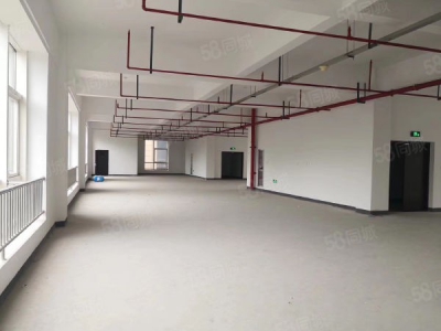 株洲市芦淞区政府 标准厂房直租 100到2300平 价格面议图1