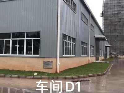 (出租) 佛山三水化工园全新大平层钢结构厂房，适合化工喷涂漂染等等图2