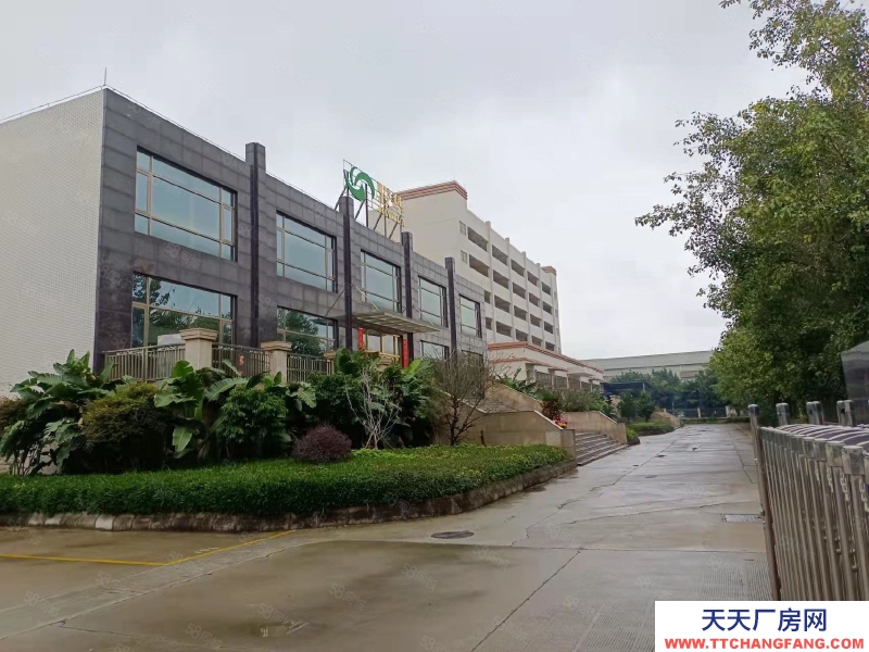 (出租) 佛山三水区西南河囗工业区花园式厂房，8000平可做独栋，配套完善